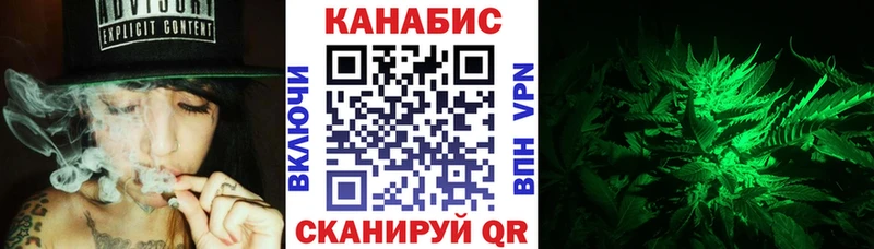 Каннабис сатива  Олонец 
